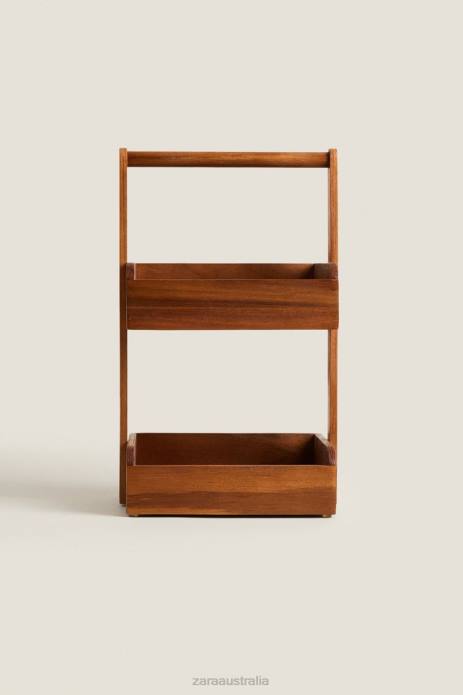 Storage Unit 822X1681 Zara Accessories Unisex Brown