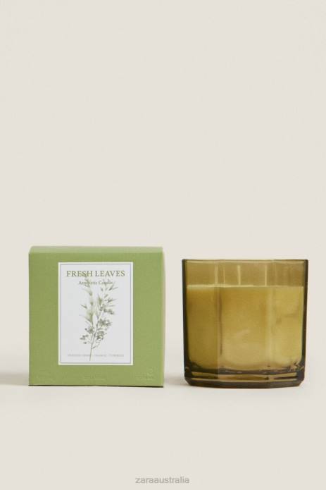 (500 G) Fresh Leaves Scented Candle 822X1763 Zara Accessories Unisex Earth