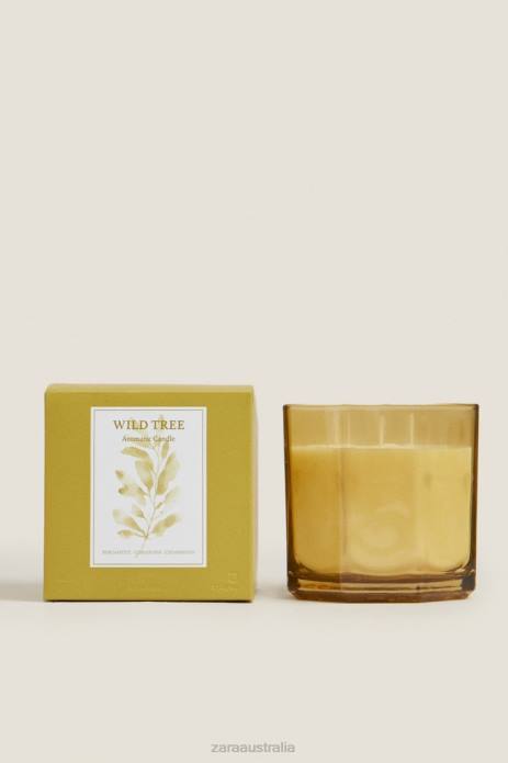 (500 G) Wild Tree Scented Candle 822X1764 Zara Accessories Unisex Olive Green